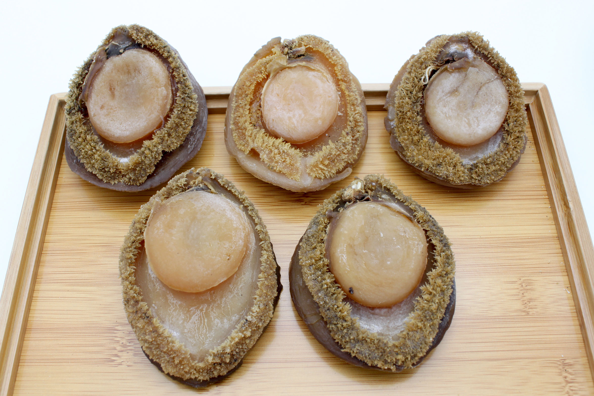 Giant Dried South Africa Abalone 大南非鮑魚 Grand Gift