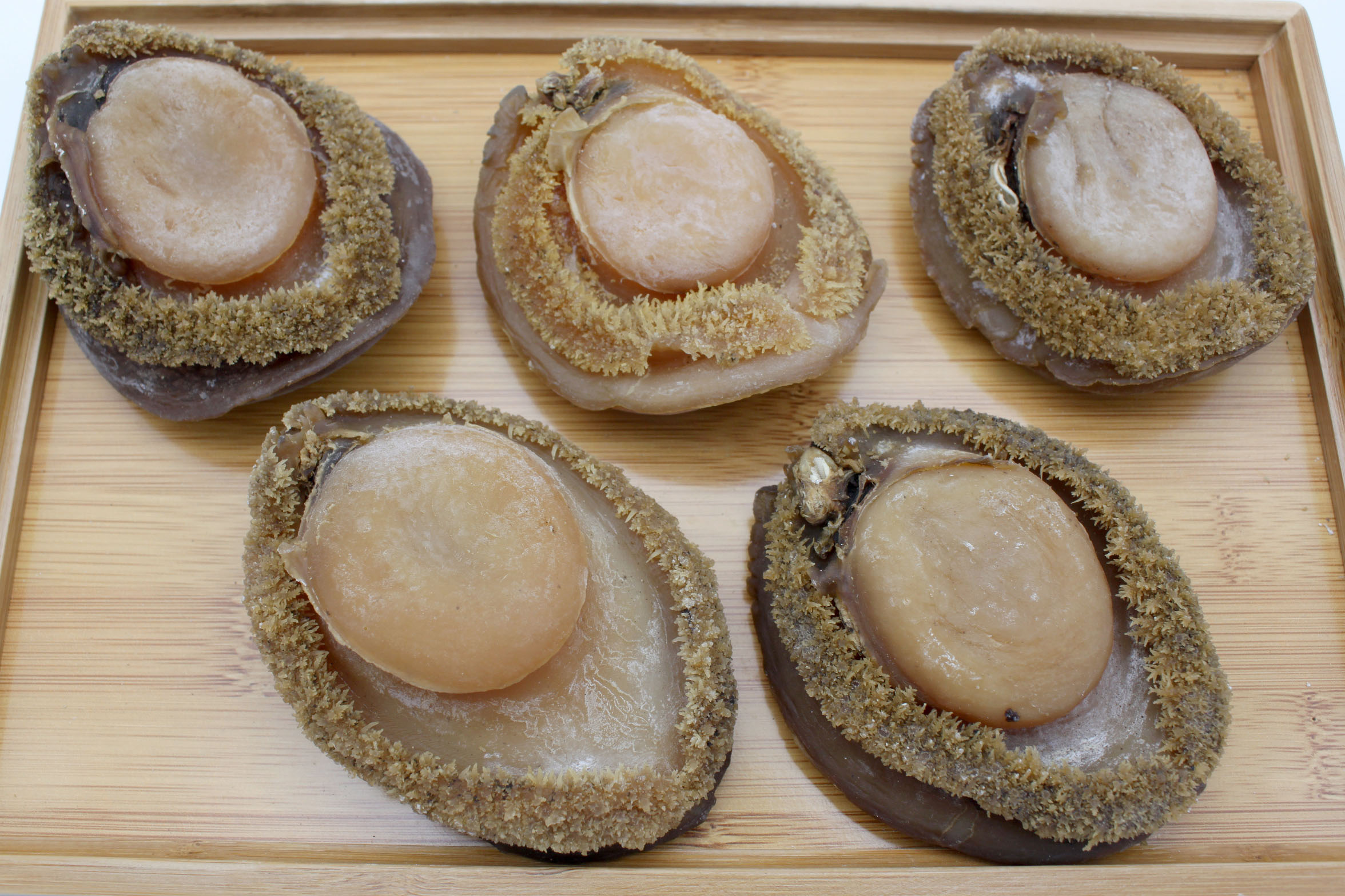 Giant Dried South Africa Abalone 大南非鮑魚 Grand Gift