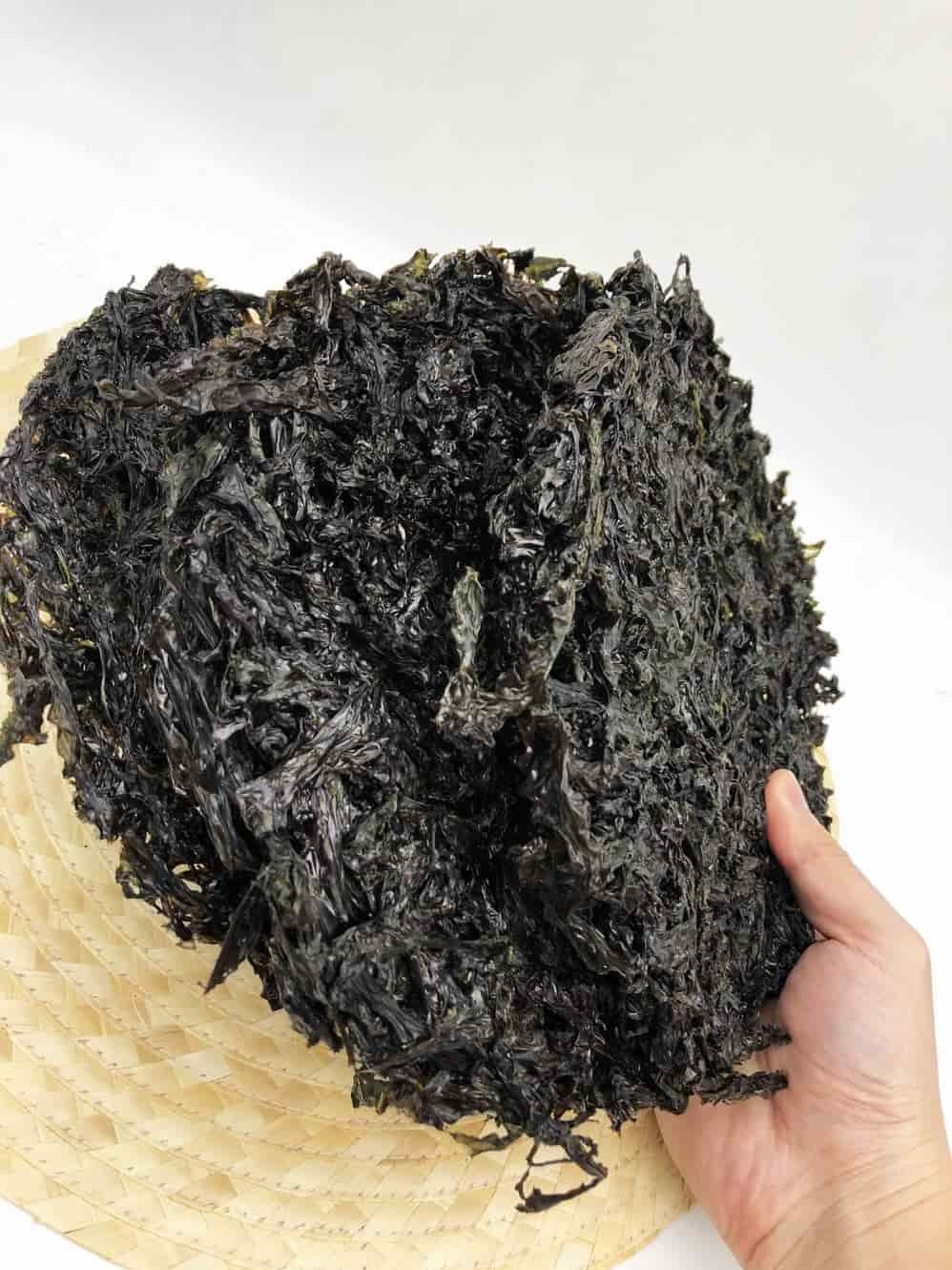 firstharvestedediblelaverseaweedforcookingporphyra